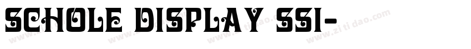 Schole Display SSi字体转换